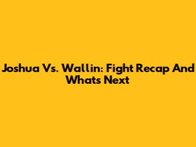 Joshua Vs. Wallin: Fight Recap And What's Next