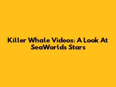 Killer Whale Videos: A Look At SeaWorld's Stars