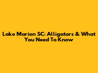 Lake Marion SC: Alligators & What You Need To Know