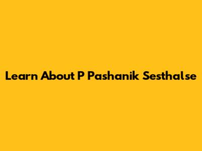 Learn About P Pashanik Sesthalse