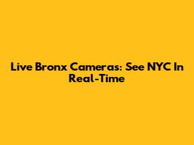 Live Bronx Cameras: See NYC In Real-Time
