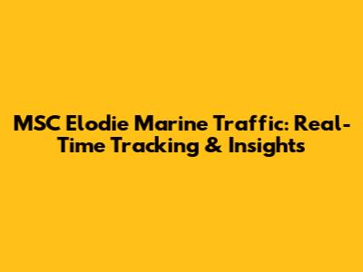 MSC Elodie Marine Traffic: Real-Time Tracking & Insights