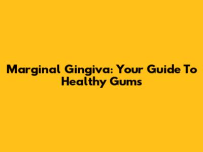 Marginal Gingiva: Your Guide To Healthy Gums