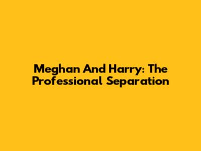 Meghan And Harry: The Professional Separation