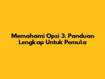 Memahami Opsi 3: Panduan Lengkap Untuk Pemula