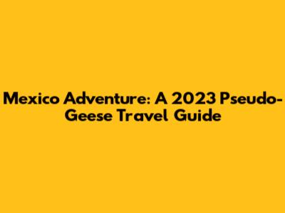 Mexico Adventure: A 2023 Pseudo-Geese Travel Guide
