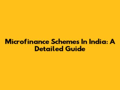 Microfinance Schemes In India: A Detailed Guide
