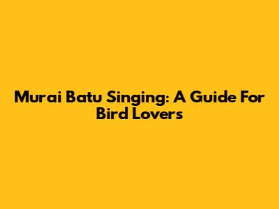 Murai Batu Singing: A Guide For Bird Lovers