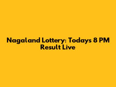 Nagaland Lottery: Today's 8 PM Result Live
