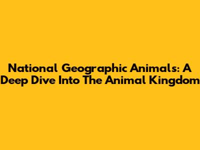 National Geographic Animals: A Deep Dive Into The Animal Kingdom