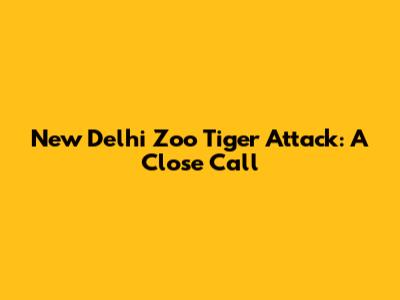 New Delhi Zoo Tiger Attack: A Close Call