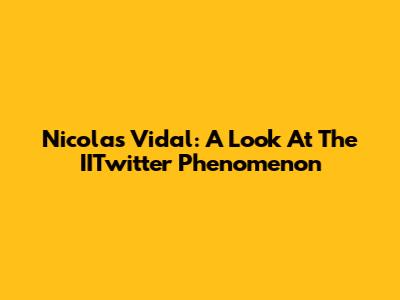Nicolas Vidal: A Look At The IITwitter Phenomenon