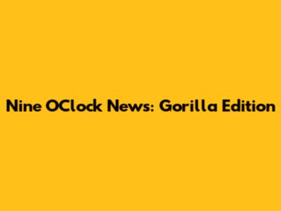Nine O'Clock News: Gorilla Edition