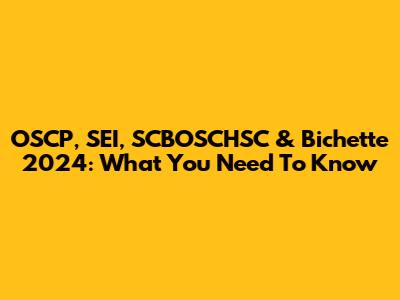 OSCP, SEI, SCBOSCHSC & Bichette 2024: What You Need To Know
