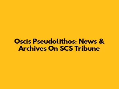 Oscis Pseudolithos: News & Archives On SCS Tribune