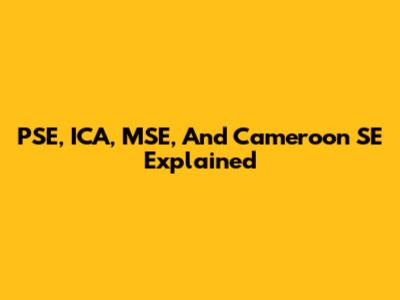 PSE, ICA, MSE, And Cameroon SE Explained