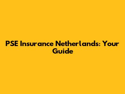 PSE Insurance Netherlands: Your Guide