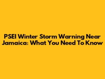 PSEI Winter Storm Warning Near Jamaica: What You Need To Know