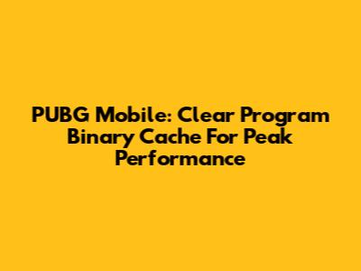 PUBG Mobile: Clear Program Binary Cache For Peak Performance