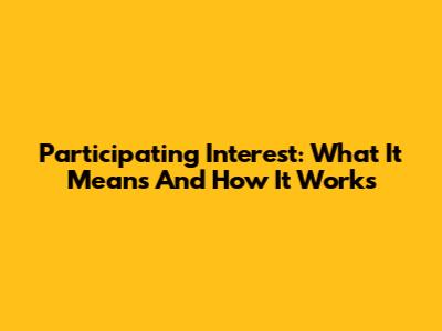 Participating Interest: What It Means And How It Works