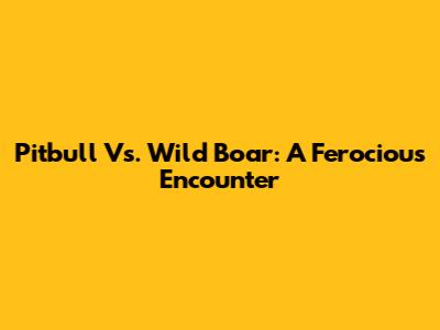 Pitbull Vs. Wild Boar: A Ferocious Encounter