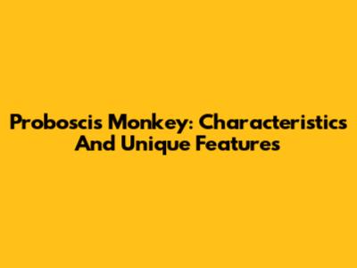 Proboscis Monkey: Characteristics And Unique Features