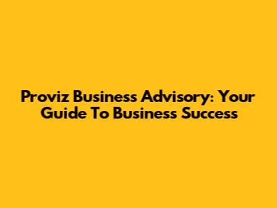 Proviz Business Advisory: Your Guide To Business Success