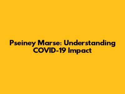 Pseiney Marse: Understanding COVID-19 Impact
