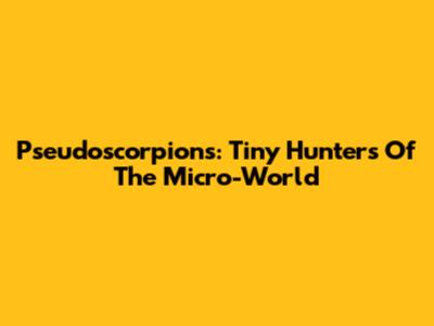 Pseudoscorpions: Tiny Hunters Of The Micro-World