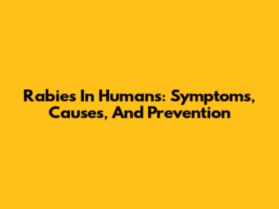 Rabies In Humans: Symptoms, Causes, And Prevention
