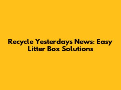 Recycle Yesterday's News: Easy Litter Box Solutions