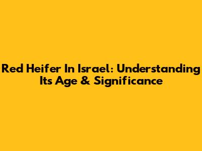 Red Heifer In Israel: Understanding Its Age & Significance