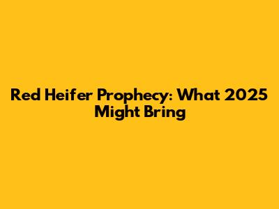Red Heifer Prophecy: What 2025 Might Bring