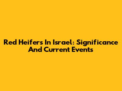 Red Heifers In Israel: Significance And Current Events