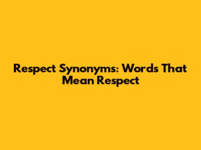 Respect Synonyms: Words That Mean Respect