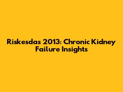 Riskesdas 2013: Chronic Kidney Failure Insights
