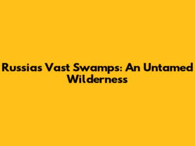 Russia's Vast Swamps: An Untamed Wilderness