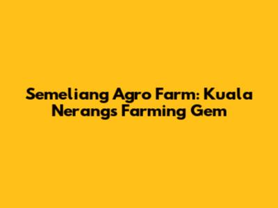 Semeliang Agro Farm: Kuala Nerang's Farming Gem