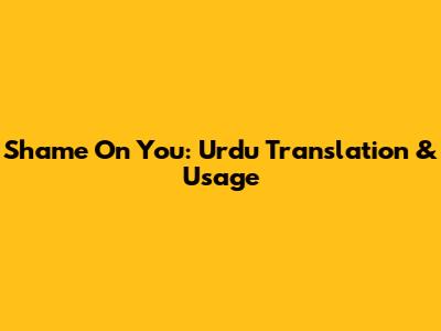Shame On You: Urdu Translation & Usage
