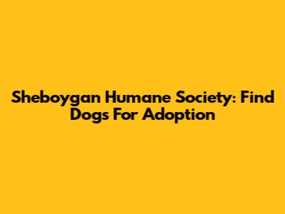 Sheboygan Humane Society: Find Dogs For Adoption