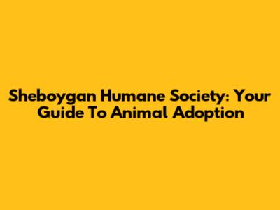Sheboygan Humane Society: Your Guide To Animal Adoption