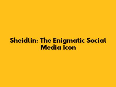 Sheidlin: The Enigmatic Social Media Icon