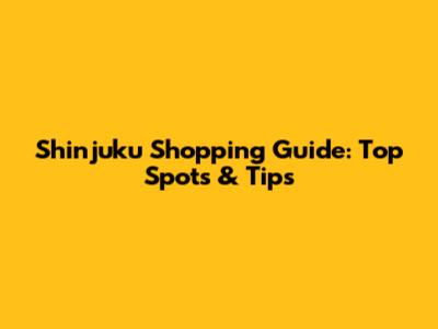 Shinjuku Shopping Guide: Top Spots & Tips