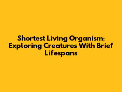 Shortest Living Organism: Exploring Creatures With Brief Lifespans