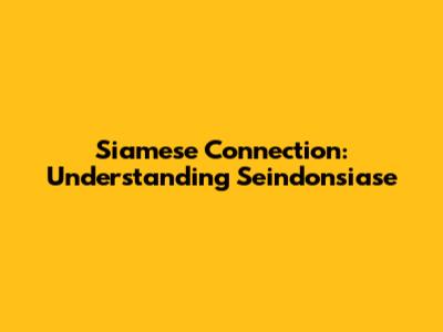 Siamese Connection: Understanding Seindonsiase