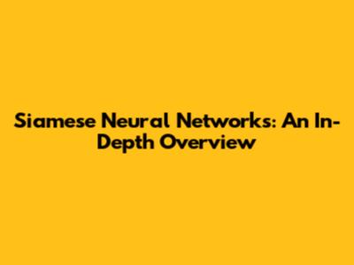 Siamese Neural Networks: An In-Depth Overview
