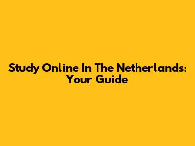Study Online In The Netherlands: Your Guide