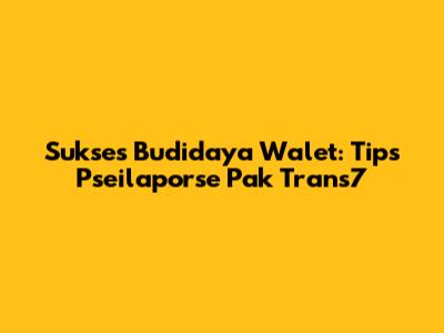 Sukses Budidaya Walet: Tips Pseilaporse Pak Trans7