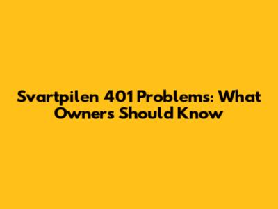 Svartpilen 401 Problems: What Owners Should Know