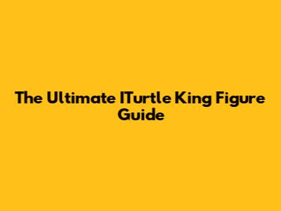 The Ultimate ITurtle King Figure Guide